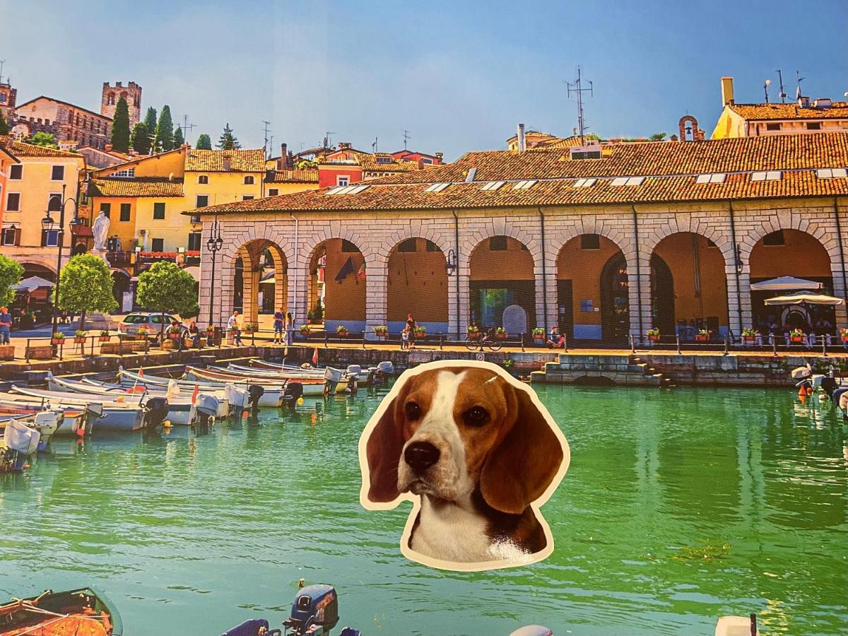 Desenzanoloft Official Partner Marriott Homes & Villas -Butterfly And 5 Pools Family Apartment Desenzano del Garda Luaran gambar